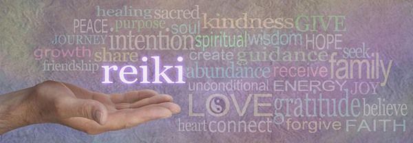 reiki principles lake county wellness illinois danni mares