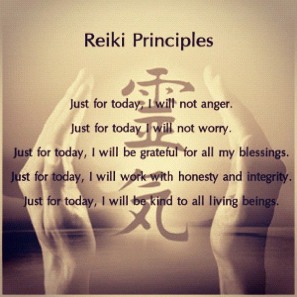 reiki principles lake county wellness illinois danni mares